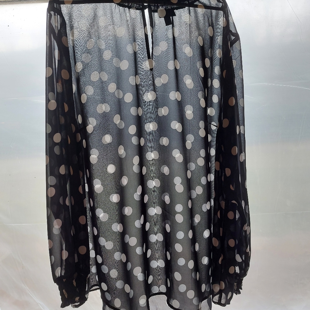 Torrid Size 3 Sheer Longsleeve Blouse